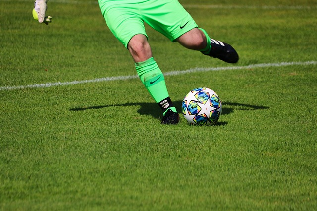 辈效仿的典 辈效仿的典